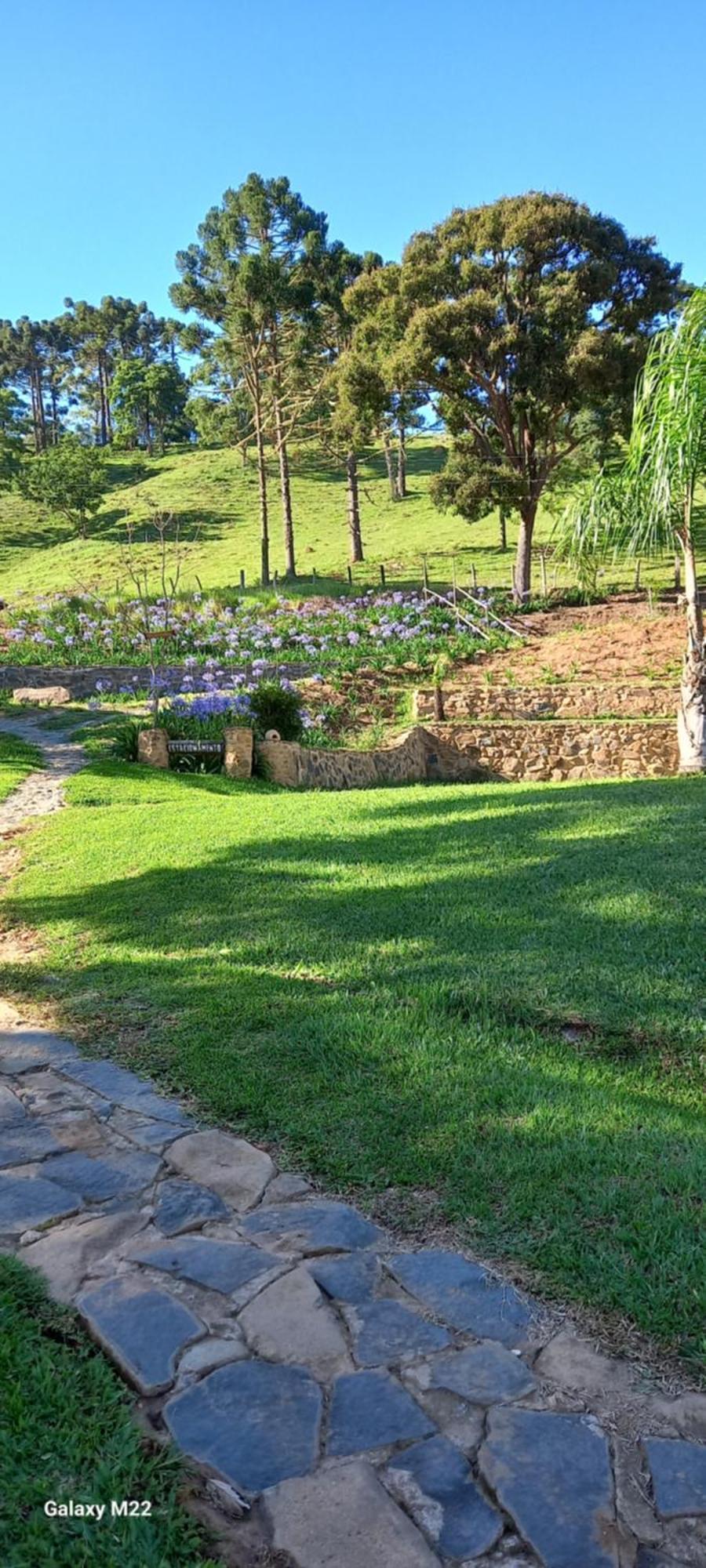 Chale 01 Maritacas Chalet *